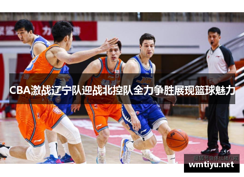 CBA激战辽宁队迎战北控队全力争胜展现篮球魅力