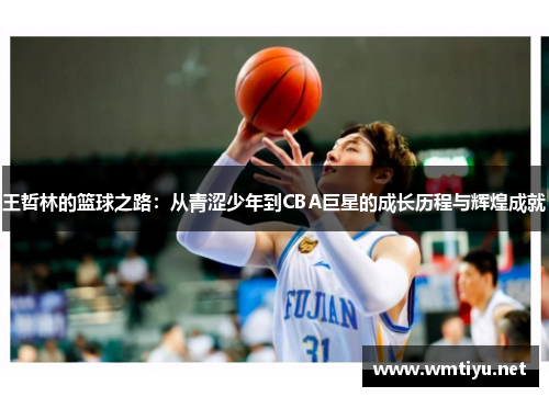 王哲林的篮球之路：从青涩少年到CBA巨星的成长历程与辉煌成就